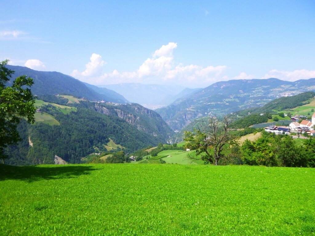 nature, summer, heaven, tree, landscape, plant, meadow, grass, field, beauty, garden, valley, mountains, earth, romance, love, colour, park